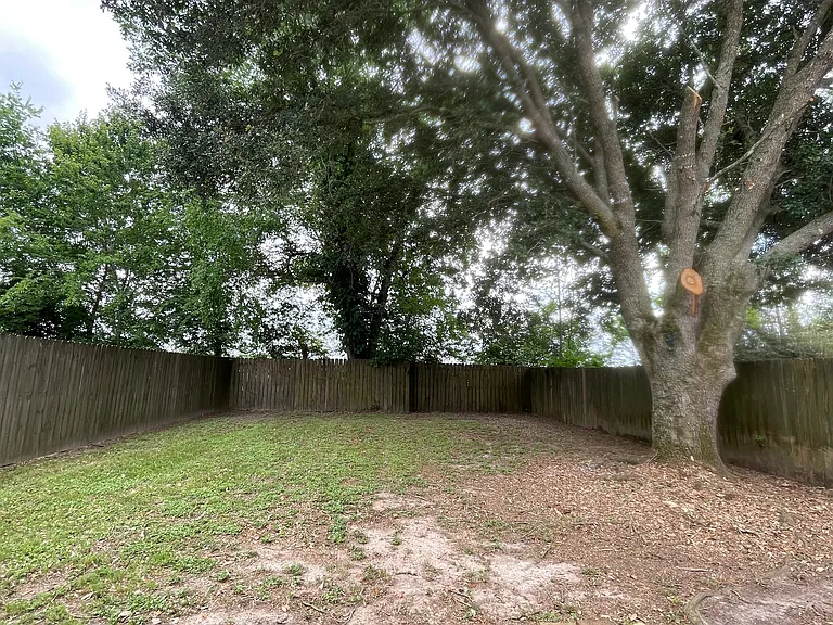 113 Earline Dr — Photo 15