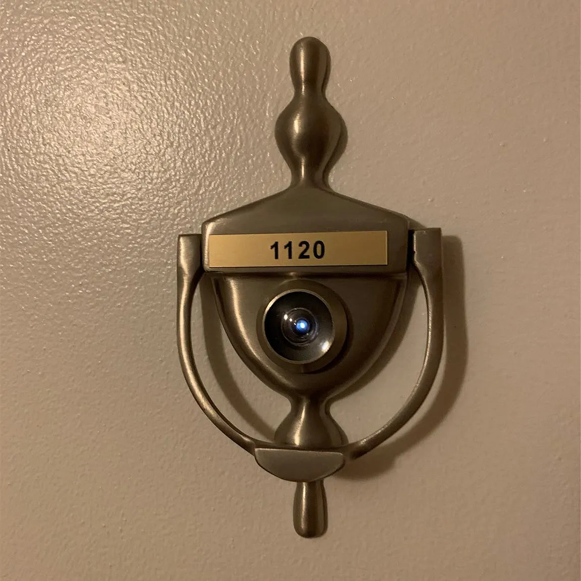 silver thatch — Photo 1