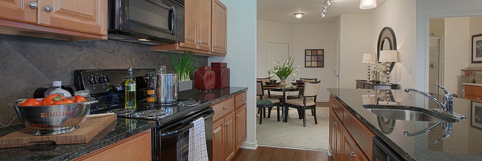 Kitchen View