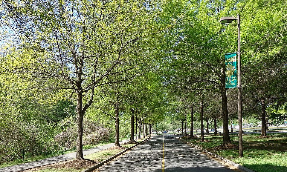 Walk to Freedom Park