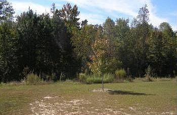 2nd image of 303 Allendown Ln