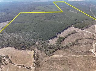 1 Off Dm #247, Huntsville, TX 77340