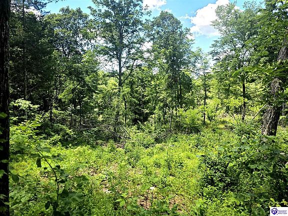 2nd image of TRACT Two Johnson Harris School Rd