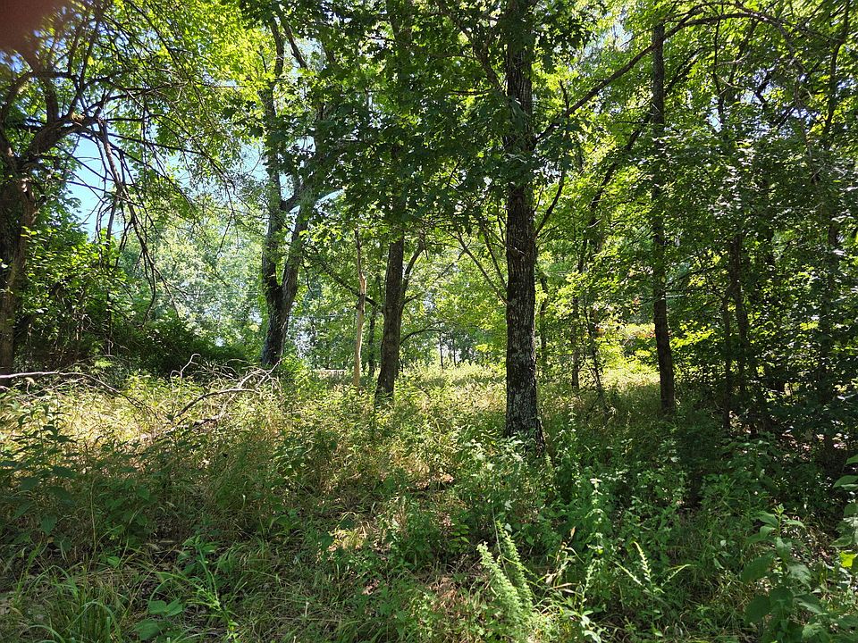 2nd image of Lot 12&13 Farm Road 1190