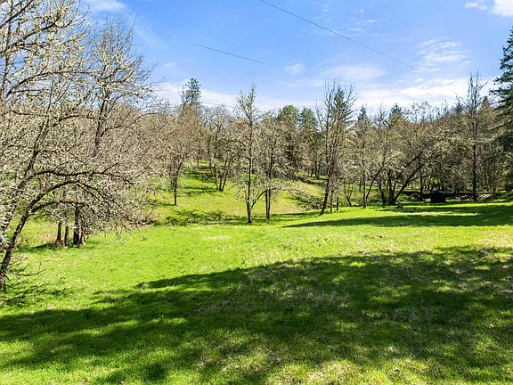 4th image of 1237 Daisy Creek Rd