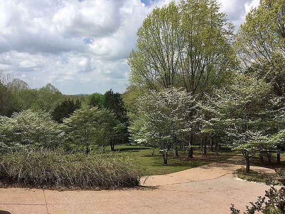 71 Dogwoods - Snowfall!