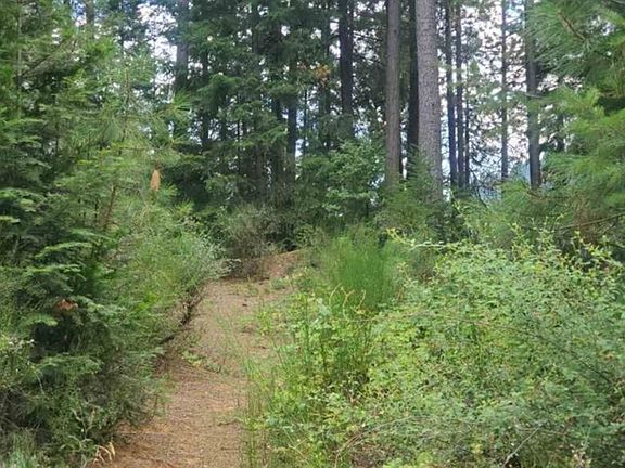 2nd image of 0 Timber Dr