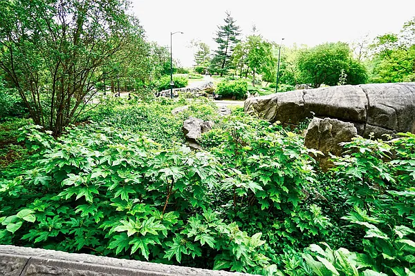 Rented by Bizzarro Agency | media 16