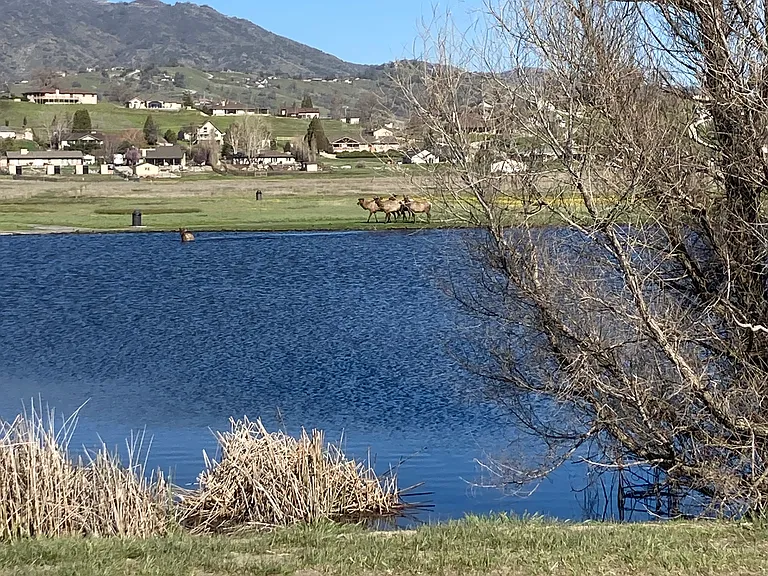 Cub lake/fishing/elk viewing/walking path/events.