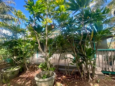 Lanai and small private fenced back yard