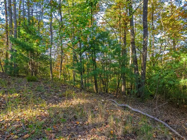LOT 1199 Lancer Ct, Ellijay, GA 30540