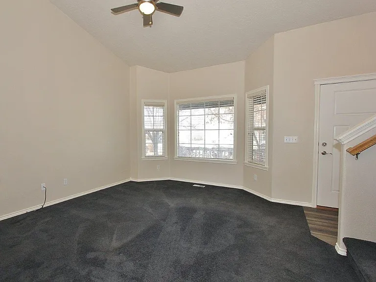 17696 Dark Zebra Way — Photo 4