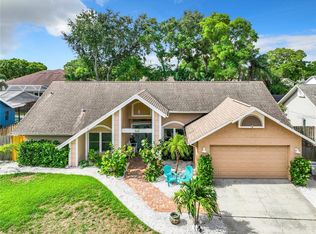 1668 Powder Ridge Dr, Palm Harbor, FL 34683