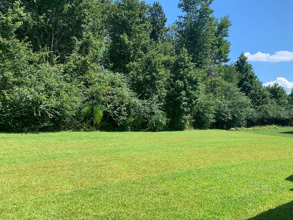 2nd image of Holly Loop