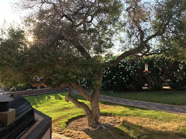 Morning Sun Way — Photo 19