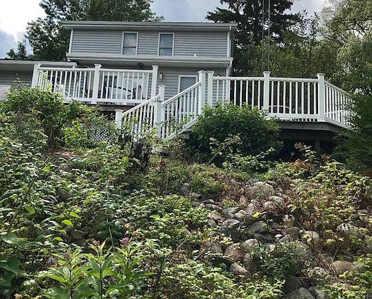 back deck and raspberries