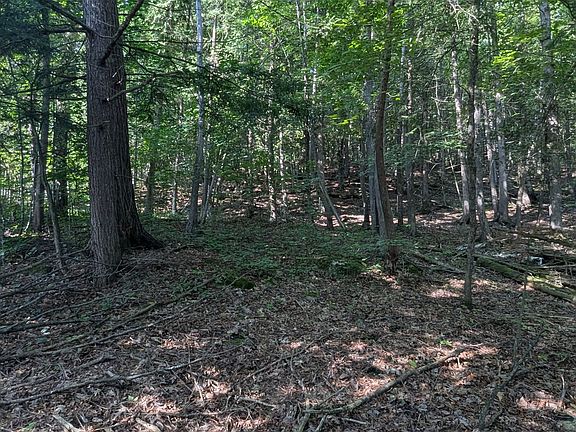 5th image of 4853 Opeongo Rd