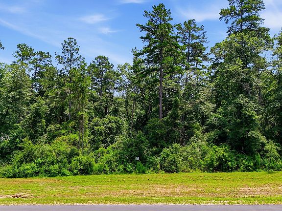 4th image of 16068 Four Hills Rd Lot 44