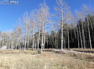 61 Will Stutley Dr, Divide, CO 80814