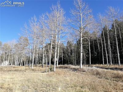 61 Will Stutley Dr, Divide, CO, 80814