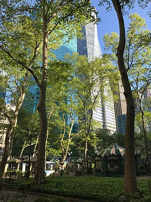 Rented by Compass | media 14