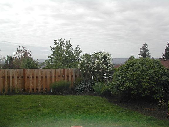 Partial Backyard