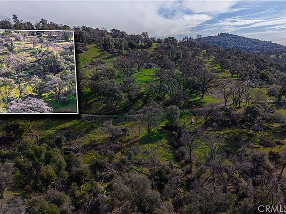 5th image of 2320 Painted Pony Rd