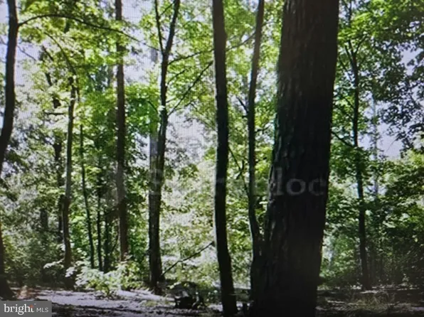 70 Maple Ave, Dorothy, NJ 08317