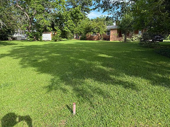 Large Backyard