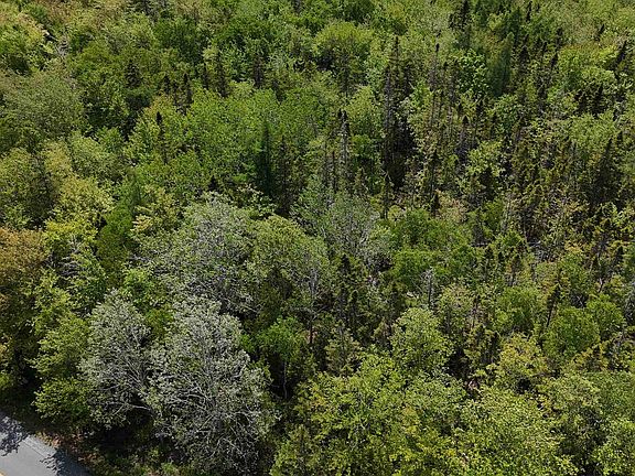 3rd image of Eastern Shore Rd Lot 16