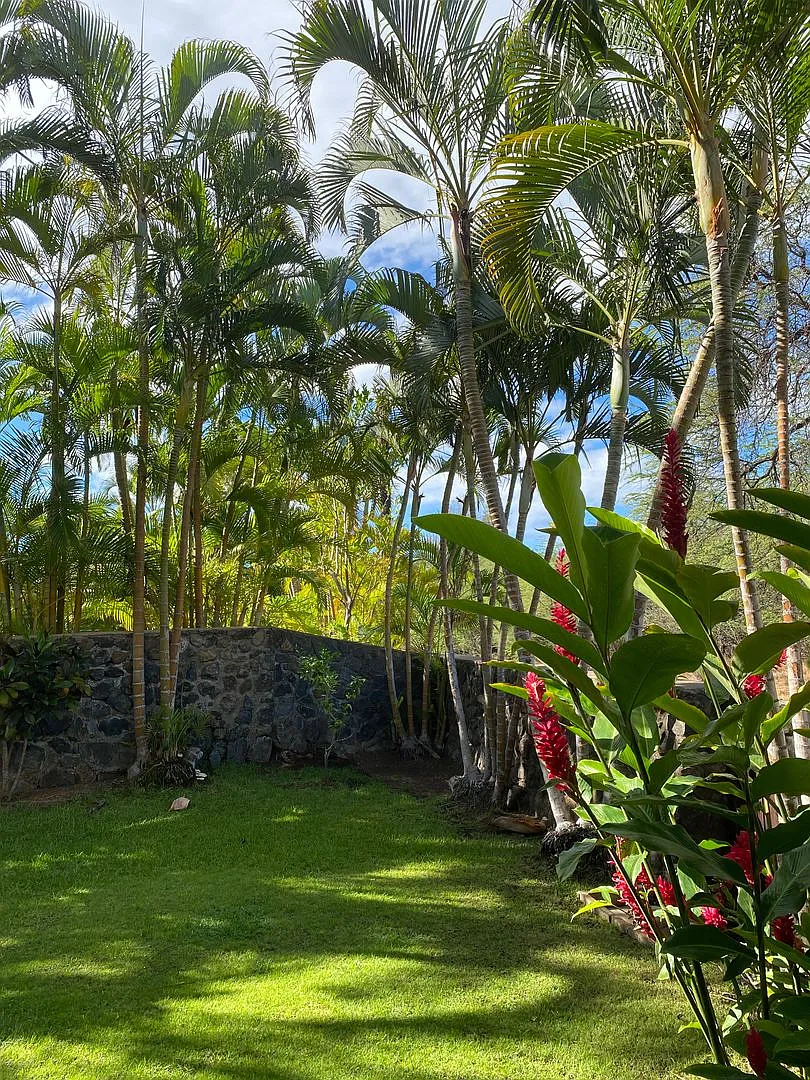 Tropical oasis — Photo 3