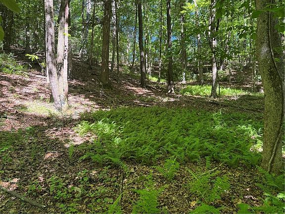 4th image of 0 Walhalla Ct Lot 387