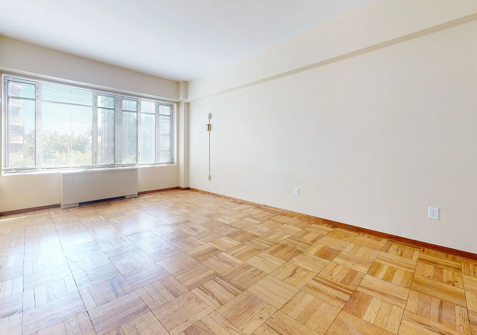 Sun-Filled Large Studio Apartment on Mass Avenue! — Photo 4