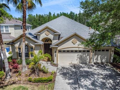 8334 Old Town Dr, Tampa, FL, 33647