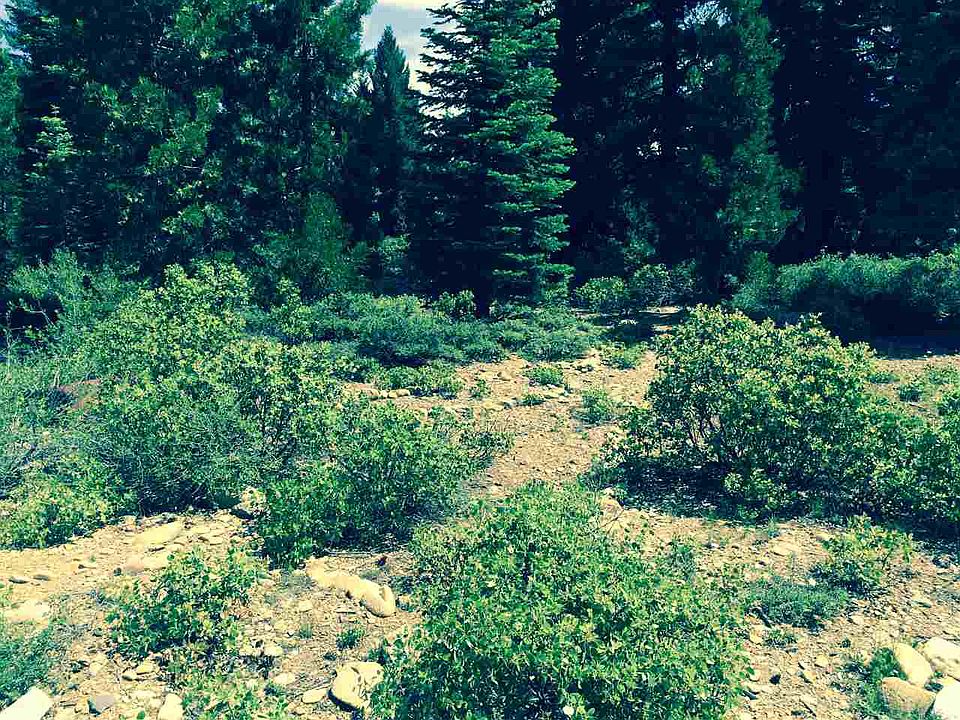 1st image of 1270 Lodgepole Trl