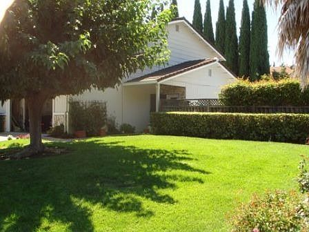 Frontyard