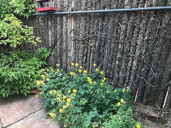 4th image of 2058 Placita De Quedo