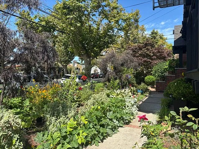 1401 High St #7 — Photo 3