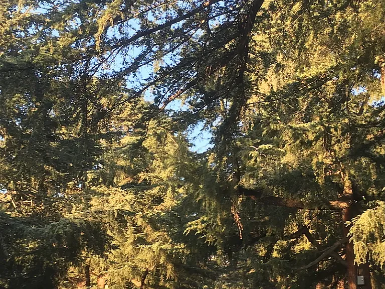 Buena Loma St — Photo 13