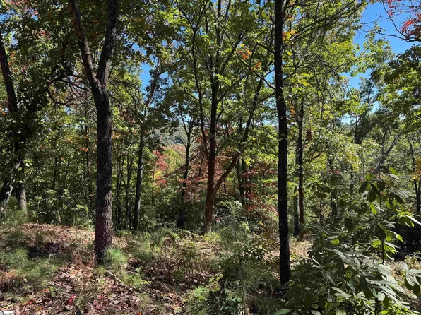 Speckled Grouse Way Camp 3 #Wv, Marietta, SC 29661