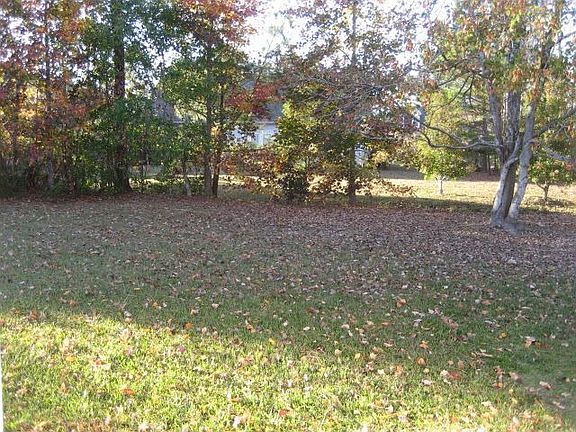 Back yard right side