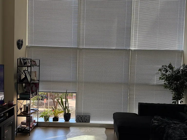 444 W Broad St #235 — Photo 20