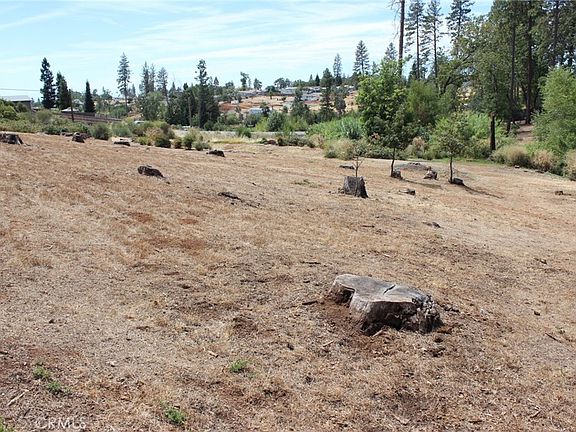 2nd image of 1289 Pearson Rd