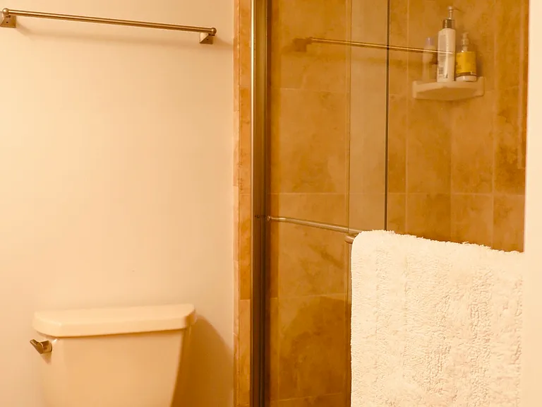 Lower level bathroom shower.