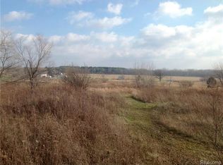 13065 New Lothrop Rd, Byron, MI 48418