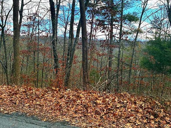 5th image of Spitz Ln