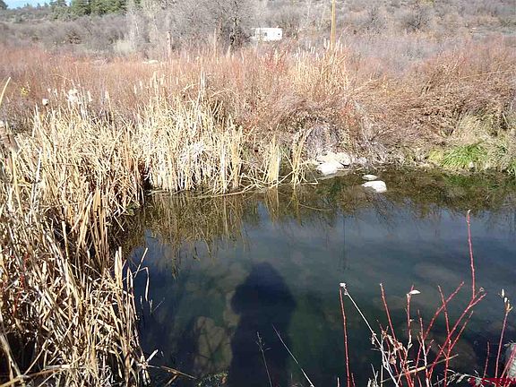 5th image of 516 River Run Dr
