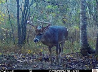 0 Dawson Rd, Princeton, KY 42445