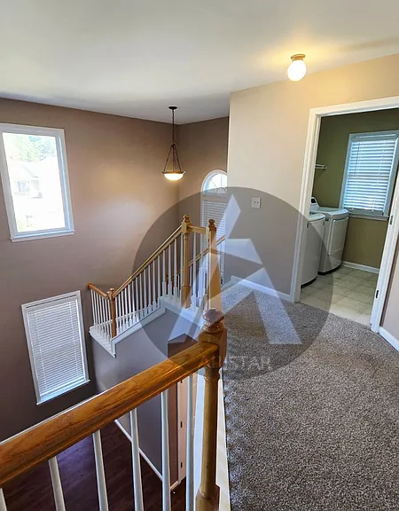 223 Elmbrook Ln — Photo 31
