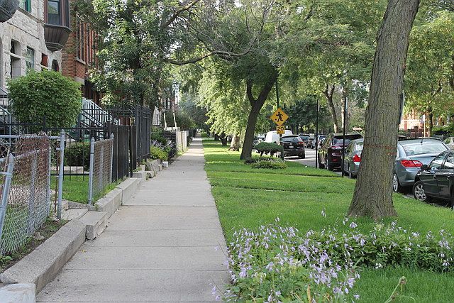 1st image of 4307 S Ellis Ave
